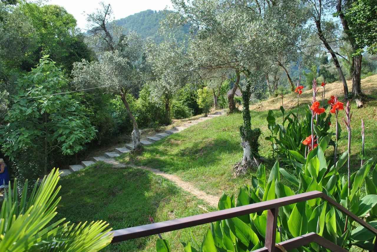 Villa Oliva New Athos Εξωτερικό φωτογραφία